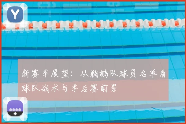 新赛季展望：从鹈鹕队球员名单看球队战术与季后赛前景