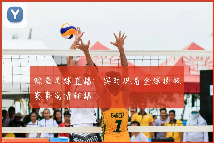 鲸鱼足球直播：实时观看全球顶级赛事高清转播