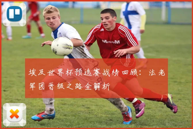 埃及世界杯预选赛战绩回顾：法老军团晋级之路全解析
