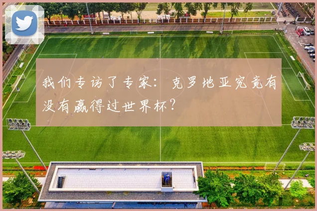 我们专访了专家:克罗地亚究竟有没有赢得过世界杯?