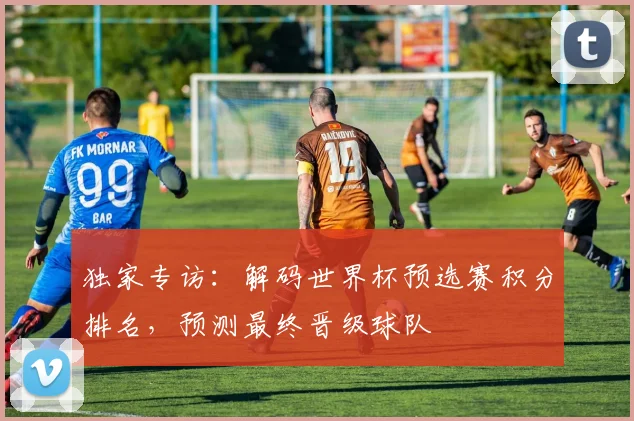 独家专访:解码世界杯预选赛积分排名,预测最终晋级球队