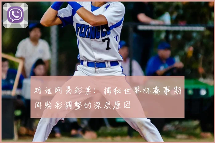 对话网易彩票：揭秘世界杯赛事期间购彩调整的深层原因