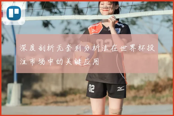 深度剖析无套利分析法在世界杯投注市场中的关键应用