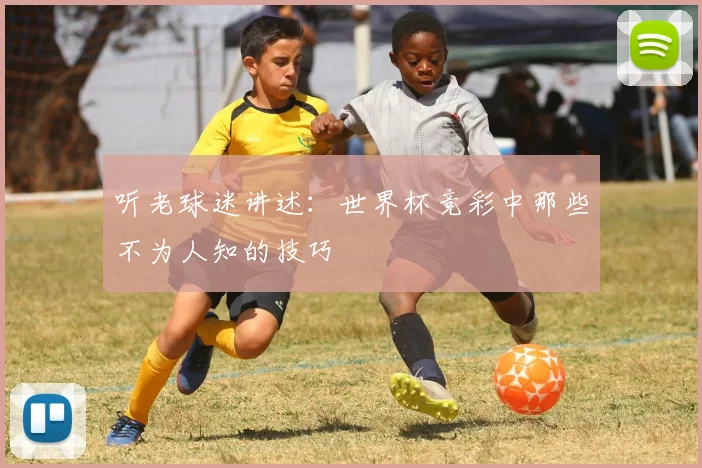 听老球迷讲述：世界杯竞彩中那些不为人知的技巧
